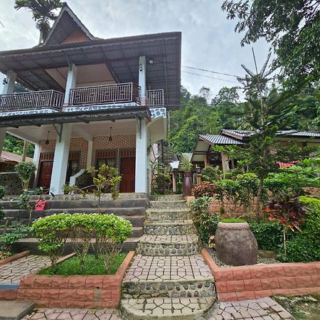 Hotel Thomas' Retreat Bukit Lawang Zewnętrze zdjęcie