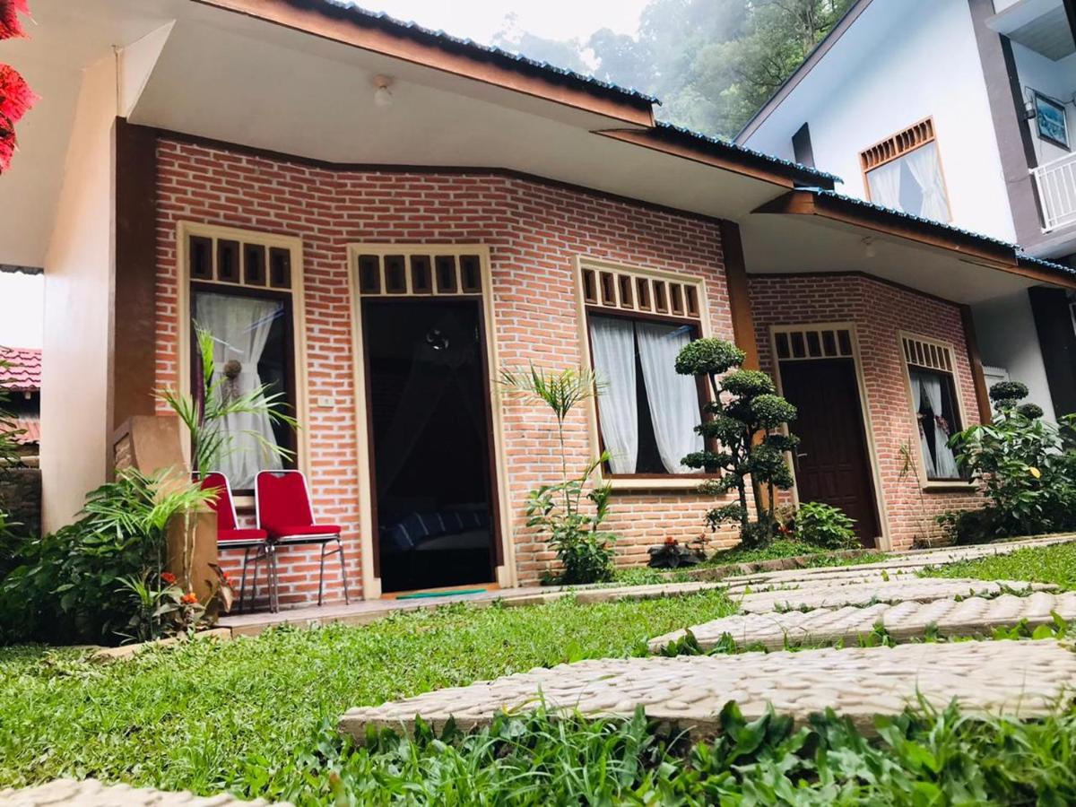 Hotel Thomas' Retreat Bukit Lawang Zewnętrze zdjęcie