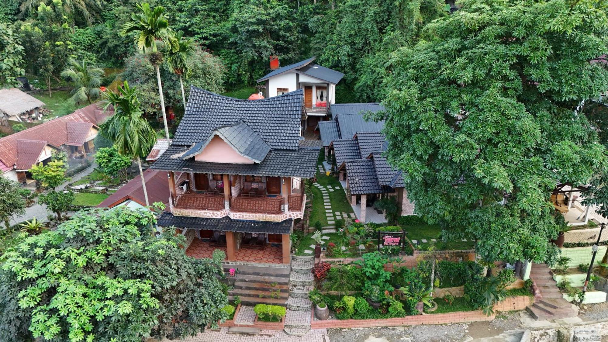 Hotel Thomas' Retreat Bukit Lawang Zewnętrze zdjęcie