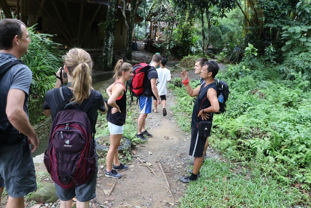 Hotel Thomas' Retreat Bukit Lawang Zewnętrze zdjęcie