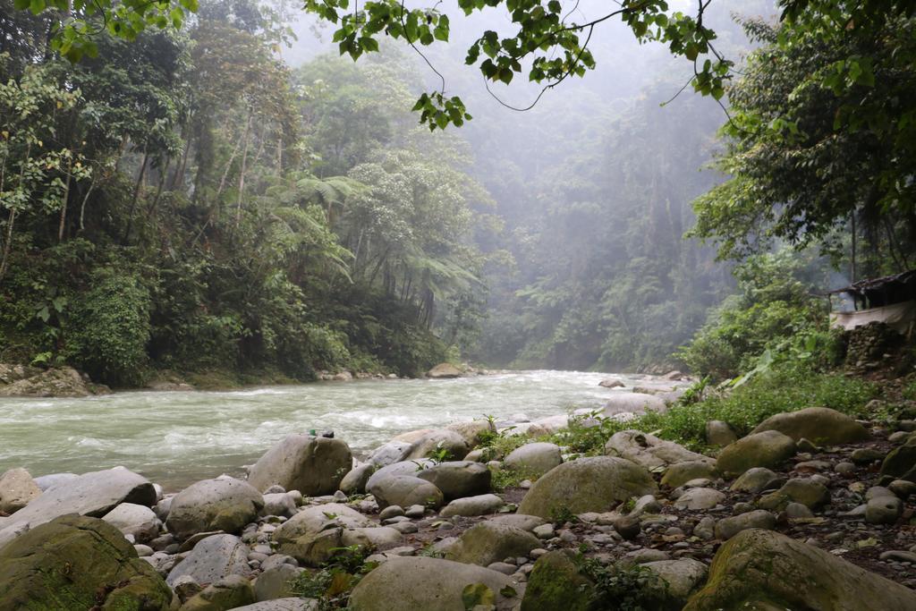 Hotel Thomas' Retreat Bukit Lawang Zewnętrze zdjęcie