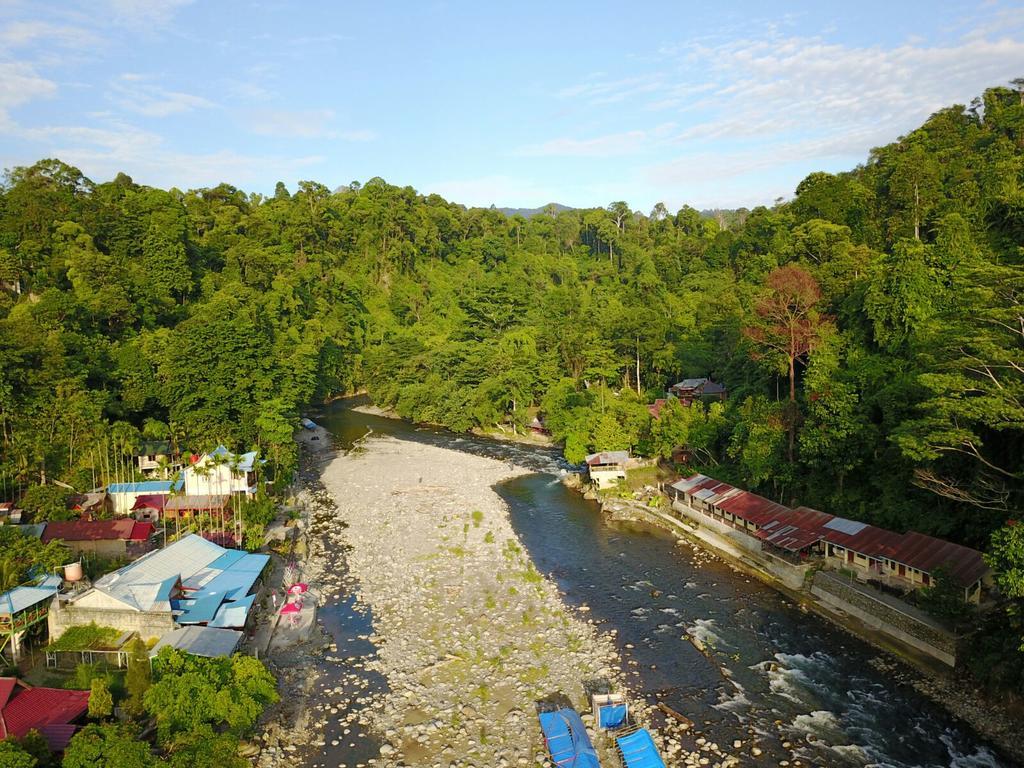 Hotel Thomas' Retreat Bukit Lawang Zewnętrze zdjęcie