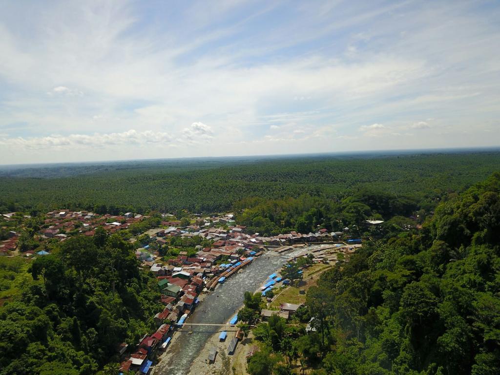 Hotel Thomas' Retreat Bukit Lawang Zewnętrze zdjęcie